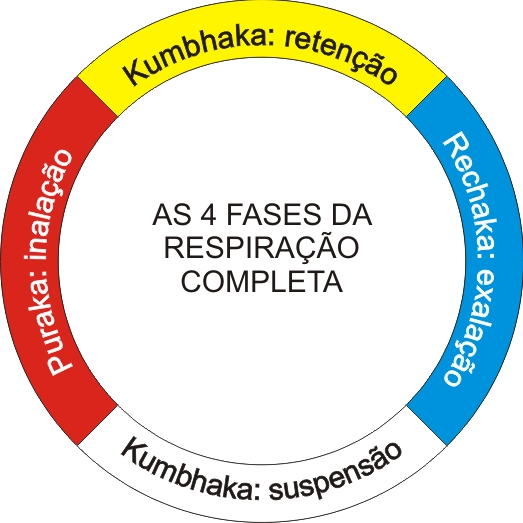 fases-da-respiracao