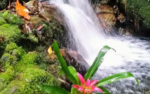 O lugar também nos transforma